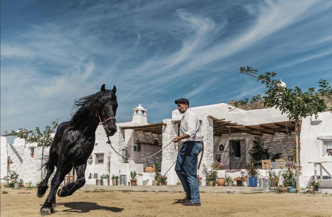 Mykonos Town Rizes Mykonos - Folklore Farmstead מראה חיצוני תמונה